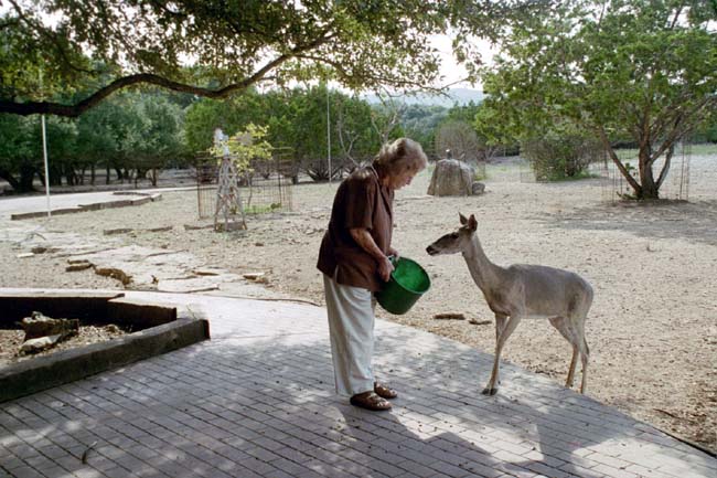 Mrs. Jackie Kyle feeding deer