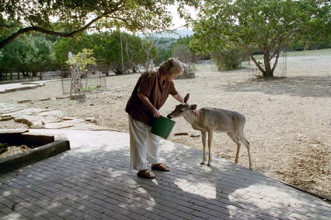 Jackie Kyle and deer